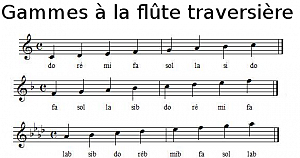 Quelle flûte traversière acheter ? - Apprendre la flute traversiere