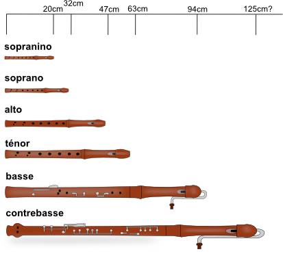 famille des flûtes à bec