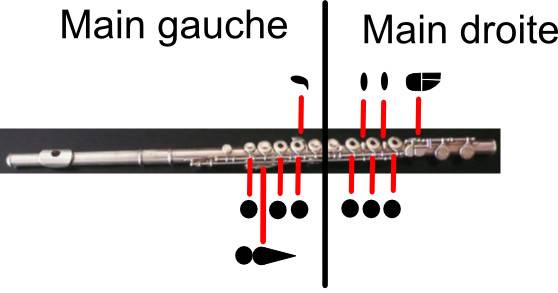 Doigtés de la flûte traversière Doigtés de la flûte traversière