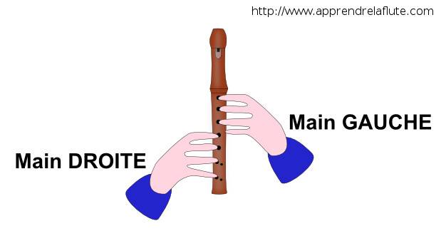La position des mains à la flûte à bec La position des mains à la flûte à bec