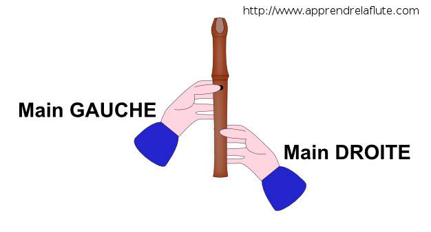 La position des mains à la flûte à bec