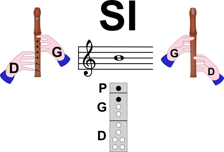 Les notes sur une flute à bec